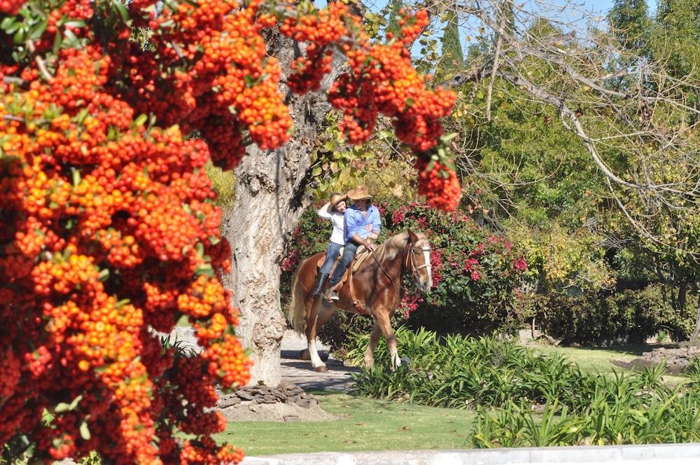 Hotel Hacienda Cantalagua Golf Contepec Ngoại thất bức ảnh
